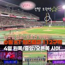 장안41 | 수원 KT 위즈 파크 112구역 4열 40번 41번 직관 후기(시야 정보O)