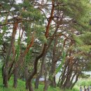 선돌촌마을 이미지