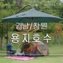 강원도래요생감자옹심수제비 이미지