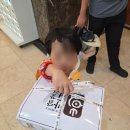 먹거리전 | 속초관광수산시장 만석닭강정, 하하호호 오징어순대, 탕후루, 감자전 먹거리후기