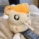 돈땡기네 이미지