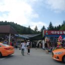 주홍목장 이미지