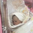 정관일신기독병원 | 좌천일신기독병원 제왕절개 입원후기