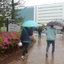 서초2삼성 이미지