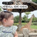 (주)제나랩 | 빈원더스 남호이안 리버 사파리 21개월 아기랑 다낭 여행