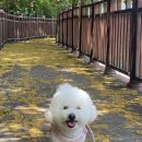 기운내 동물병원 이미지