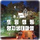 양지-3351 | [경남/거창캠핑장] 양지생태마을캠핑장 #4-7 #수영장캠핑장