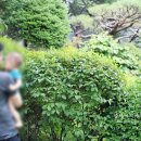 적성민박 이미지