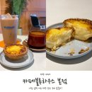 블루하우스 | 아침 일찍 여는 제주도 카페 디저트 카페블루하우스 본점 세트 포장 후기