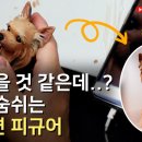 마리엘피규어