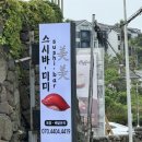 츠마미야미미