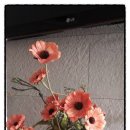 청민 행정사사무소 이미지