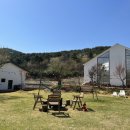 스테이제부(3) 이미지