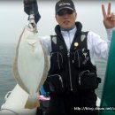 용섬 Daum카페