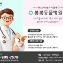 봄봄동물병원 이미지