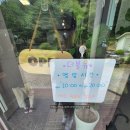 카페인더블유 | 4살 아들이 너무 좋아한 당진뷰카페, 애견동반 가능한 더블유