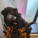 써밋잉글리쉬학원 이미지