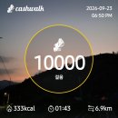 9월23일 잡목제거 이미지