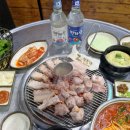 일등돼지 이미지