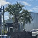 제주자동차공업사 이미지