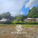 길상초등학교 초지분교 이미지