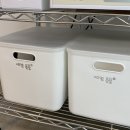 소리향 | 강릉 반려견동반 독채 펜션 소리향 1박 후기(작은 마당, 조용한 시골)