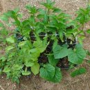 대명농자재 이미지