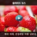 과일여왕