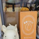 왈왈시즈닝