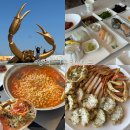 수 모텔 | 영덕 강구항 대게 맛집 대게촌 영덕 가볼만한곳 만족후기