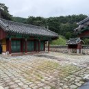 윤자운 사우 네이버블로그