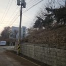 남부벌목