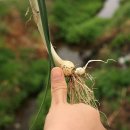 보리창고 이미지