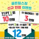 골든 피티 이미지