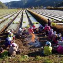 풍성농원 이미지