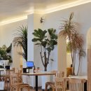 피자먹는날 | 이재모피자 제주점 | 제주 공항 근처 줄 서서 먹는 피자 맛집 웨이팅·주차 후기