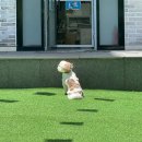 햇살찜질방 | 창원 진해 반려동반숙소 찜질방까지 휴일도스테이 솔직후기 🐶 (주저리주저리)