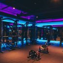 바디채널 첨단점 이미지