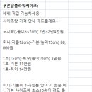 푸른달플라워케이크
