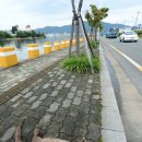 봉암동330 이미지