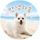 사탄곱창 - 유성구 원신흥남로12번길 41-30 | 우만동 곱창,닭발 맛집 사탄곱창, 한 번 먹으면 또 생각나는 찐맛집!