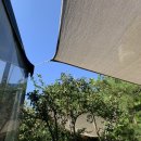 이디야(양주고읍중앙점) 이미지