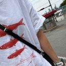 청림점기아오토큐 이미지