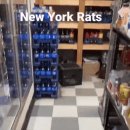 뉴욕편의점 이미지