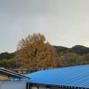 천안축산업협동조합배합사료공장 이미지