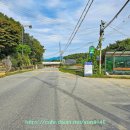 동림1리 이미지