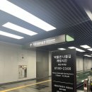 화려한머리나라 | 국립중앙박물관 사유의 방 전시관 후기, 굿즈 도슨트 주차 꿀팁 및 추천