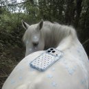 폰케이스 | 아이폰 17 케이스 추천 이쁜 맥세이프 폰케이스 후기