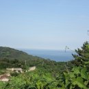 대승약국 이미지