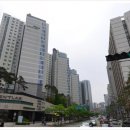 아델리아 이미지